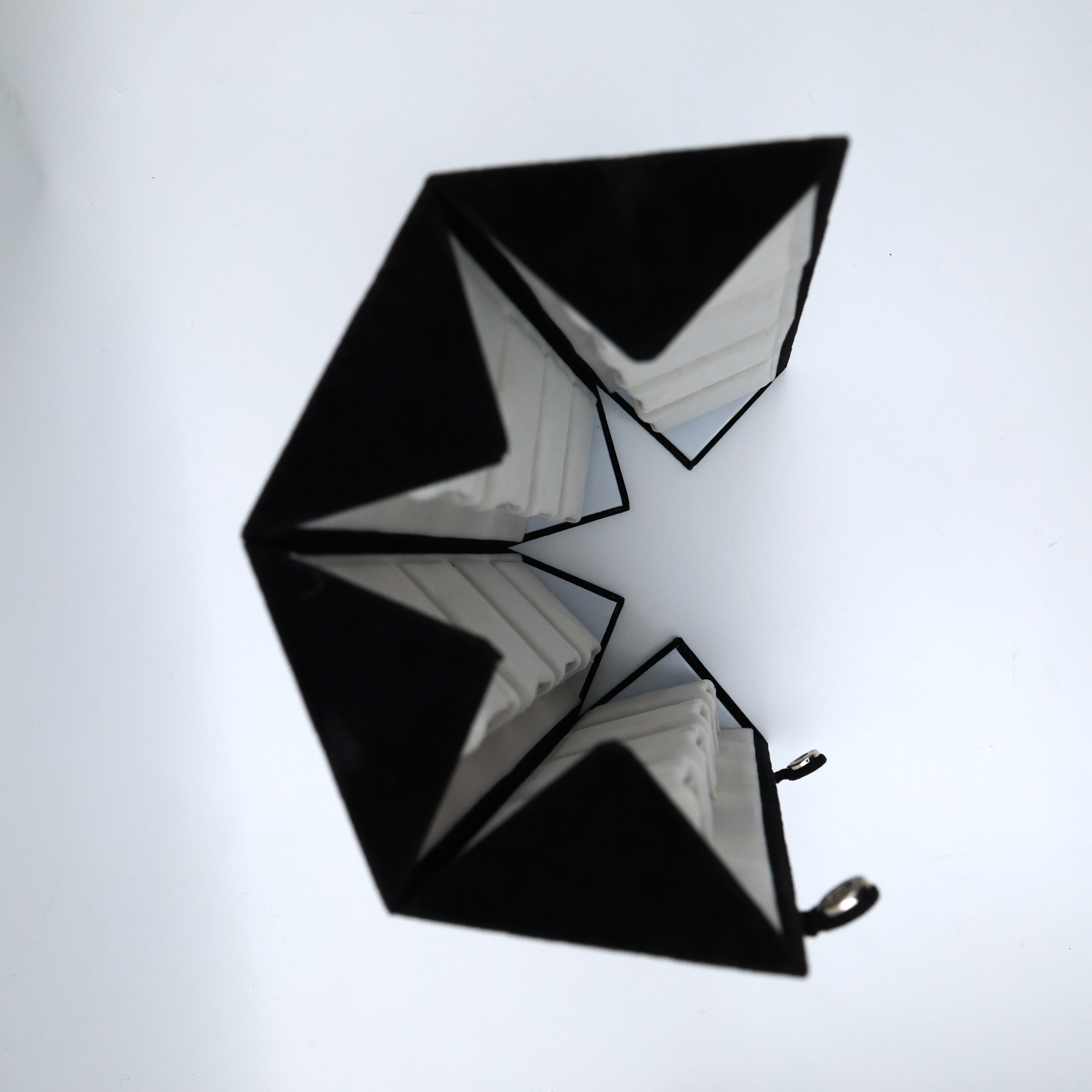 Foldable 16 Slots Earrings Organiser Box - Black